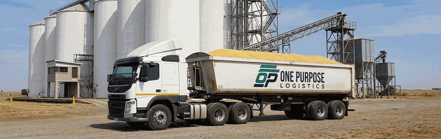 Grain tipper truck carrying maize